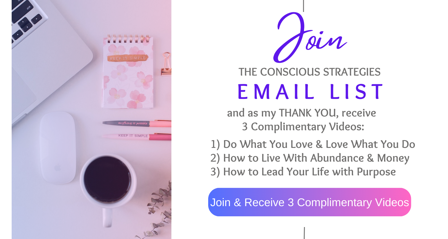 Join the Conscious Strategies Email List Today
