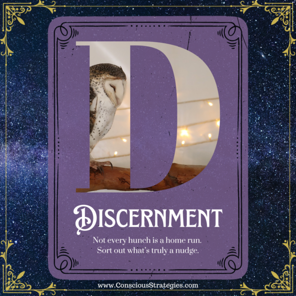 Read more about the article D is for Discernment 
